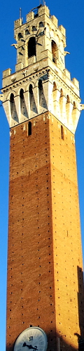 foto torre del mangia
